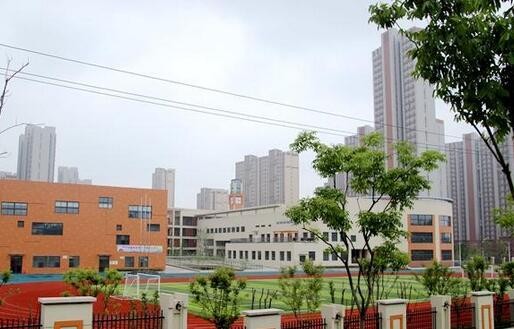 碧桂园·时代倾城周边学校实景图